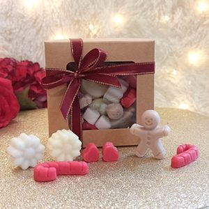 Χριστουγεννιάτικα Wax Melts
